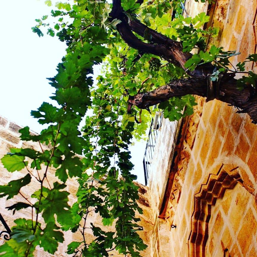 Old City Hotel Mardin Esterno foto